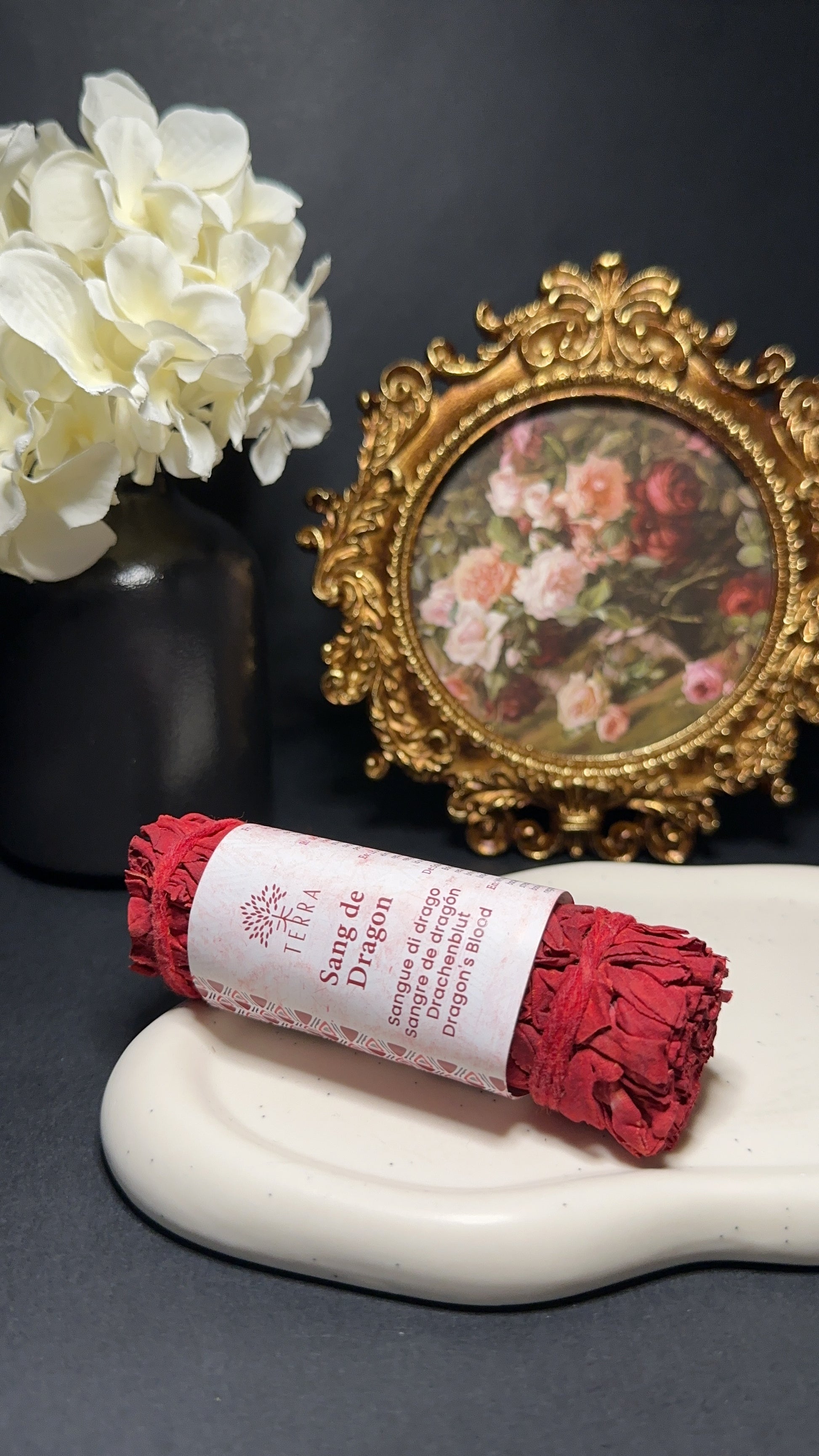 Sauge sang de dragon - Purification, apaisement & barrière énergétique