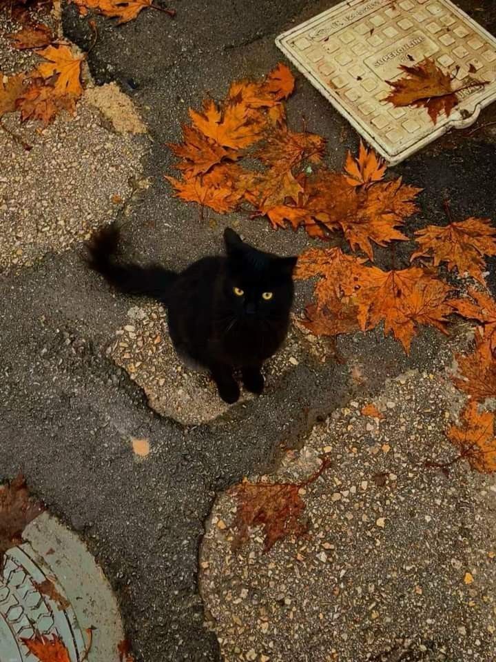 L’automne est là !!