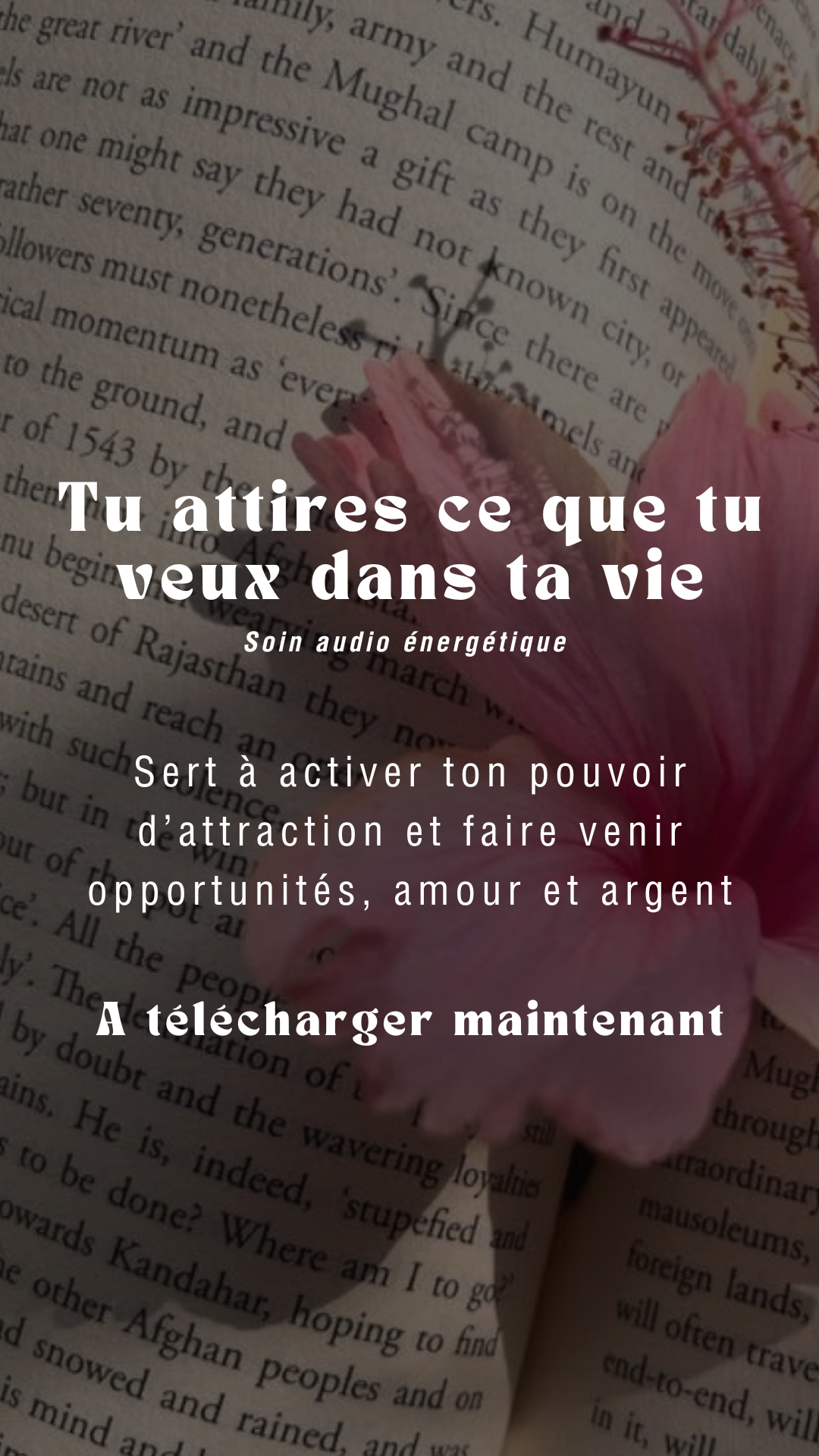 Tu attires ce que tu veux dans ta vie