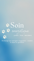 Soin énergétique pour ton animal - Par Alye