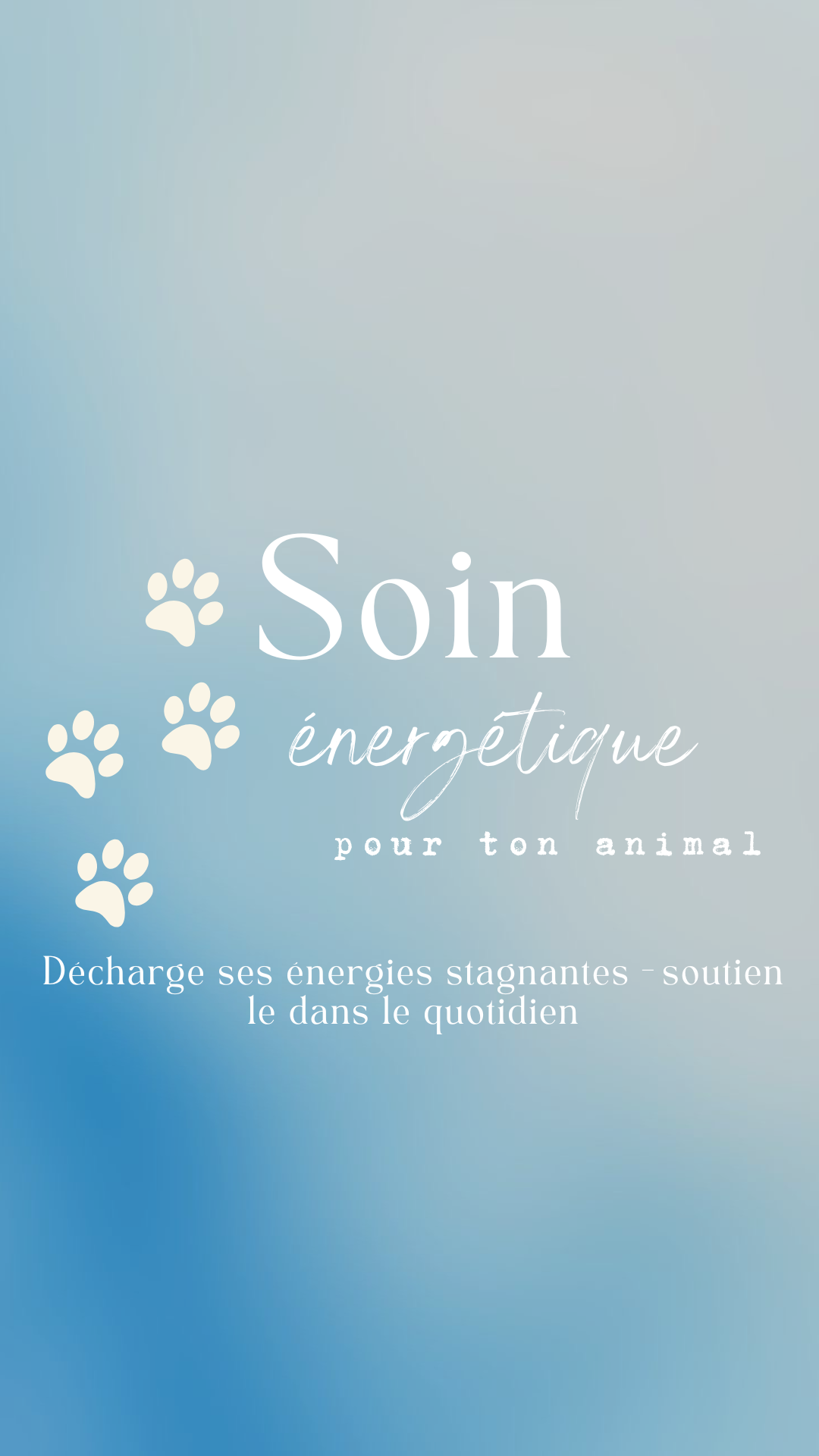 Soin énergétique pour ton animal - Par Alye