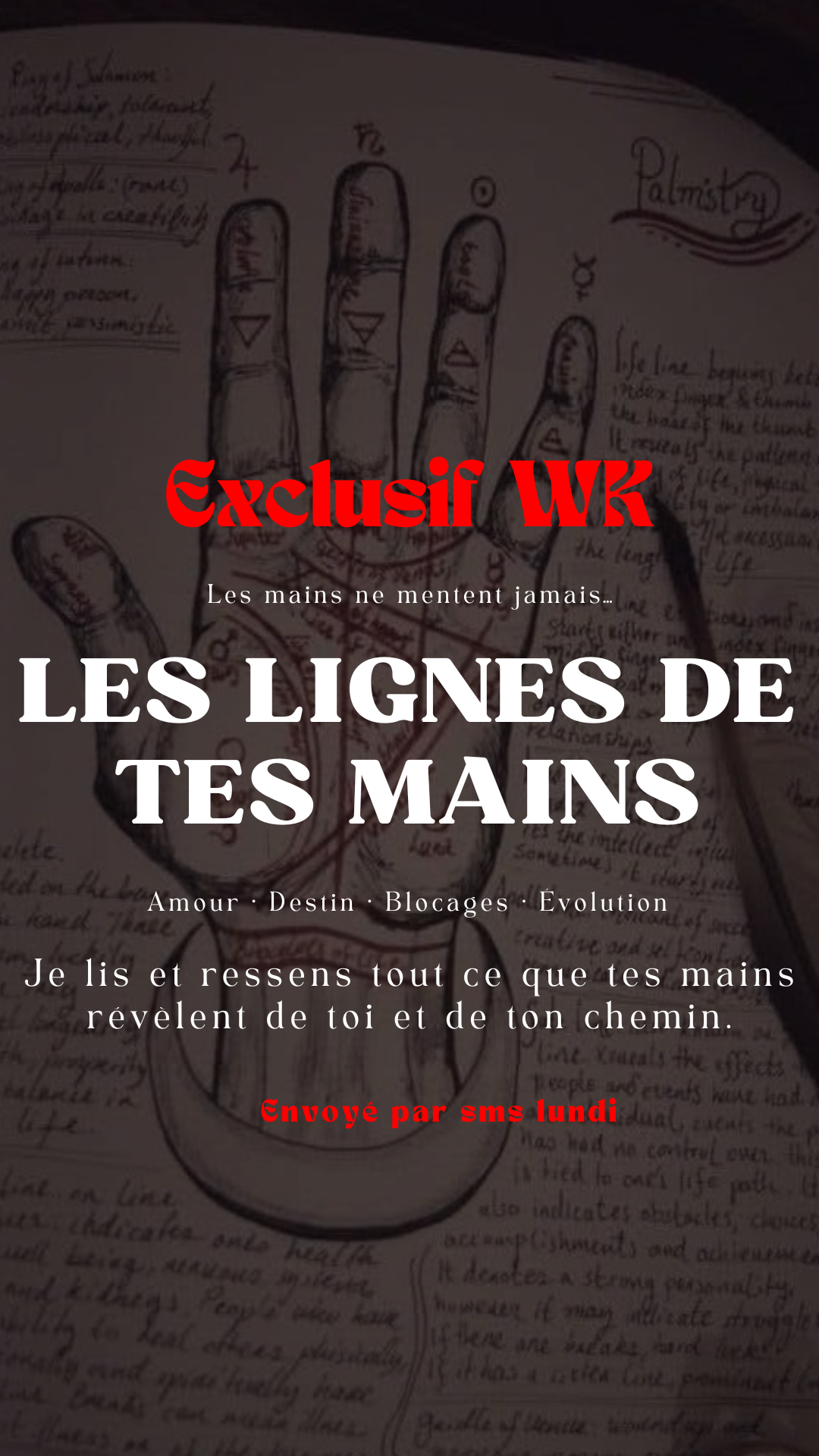 -25% EXCLUSIF WK Les lignes de tes mains Envoyé en lundi