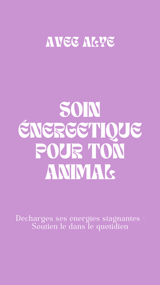 Soin énergétique pour ton animal - Par Alye